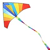 ECHOCUBE Großer Drachen für Kinder und Erwachsene, Regenbogen Drachen Delta-Drachen mit 290cm Streifenschwänze, Einleiner-Flugdrachen für Kinder ab 3 Jahren, 150x80cm, inkl. 100m Drachenschnur