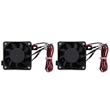 2 x 70 W 12 V Heizung DC Ventilator Thermostat-Ei Inkubator Heizung PTC Heizlüfter Heizelemente Elektrische Heizung