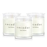 COCODOR Prämie Kerzen im Glas/Offenes Fenster/Brenndauer 30-40 Stunden/Wohnaccessoires & Deko, Aromatherapie, Duftkerze im Glas, Raumduft