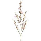 BLIBUNALA Dekoration Blume Orchidee Lan Künstliche Hochzeit Herz Tanzender Wind Künstliche Blumen Kohl Rose (B, Einheitsgröße)