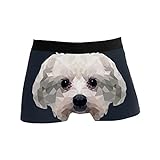 Herren Boxershorts Abstrakt Malteser Hund Trunks Unterwäsche Unterhosen für Männer S, mehrfarbig, XL