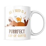 Tasse mit Katzenmotiv, Aufschrift 'All I Need is a Purrfect Coffee', 325 ml, Weiß