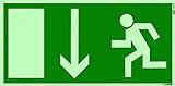 Orig. ANDRIS® Marken-Piktogramm/Symbolschild Fluchtweg/Notausgang/Rettungsweg Symbol nach unten DIN Kunststoffschild lang nachleuchtend 300x150mm