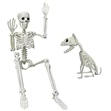 Lodou Halloween-Skelett, 91 cm, Halloween-Skelett, Ganzkörper-Gelenke, Skelette und Skelett-Katzen-Dekorationen für Halloween-Party, Spukhausbedarf (91 cm menschliches Skelett und Katzenskelett)