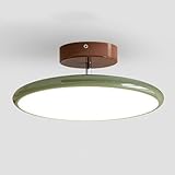 Moderne Deckenleuchten für Flure, LED-Deckenleuchten, runde Deckenleuchten aus Acryl, Deckenleuchten für Schlafzimmer, Küche, Badezimmer (Grün, 50 cm)