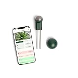 FYTA Beam Smarter Pflanzensensor + WiFi-Hub Misst Wasser, Temperatur, Licht, Düngebedarf - Feuchtigkeitsmessgerät, Bodenfeuchtesensor, Temperatursensor, Gießanzeiger Zimmerpflanzen - iOS Android App