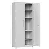 VCGGAIP Aktenschrank mit 2 Türen und 4 verstellbaren Regalen Aufbewahrungsschränke Garagenschränke abschließbar Metallschrank für Büro, Zuhause, Garage (Hellgrau)