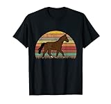 Olderburger Pferd Retro Oldenburger Vintage T-Shirt
