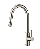FORIOUS Wasserhahn Küche, Hoher Bogen Küchenarmatur mit Herausziehbarer Brause Ausziehbar Armatur, Mischbatterie Spültischarmatur Küche Küchenarmaturen, 360° Schwenkbar, E
