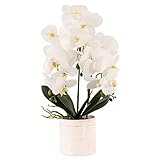 ENCOFT Kunstpflanze Orchidee Künstliche Blumen Deko mit Übertopf aus Seiden Gartendeko(60 cm, Weiss)