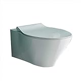Alpenberger Dusch WC Spülrandlos inkl. abnhembarem WC-Sitz Soft-Close I Hänge/Taharet WC mit Bidetfunktion Sanitärkeramik Weiß