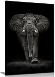 Panther Print Fine Art Prints Kunstdruck auf Leinwand, Majestätischer Elefant im Dunkeln, gerahmt, Bilder für Zuhause, Wände, Schlafzimmer, Wohnzimmer und Badezimmer, 61 x 41 cm