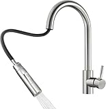 Rainsworth Wasserhahn Küche mit Brause Ausziehbar - Hochdruck Küchenarmatur mit Zwei Wasserstrahlarten, Spültischarmatur 360° Drehung, Mischbatterie Küche aus Edelstahl Einfache I