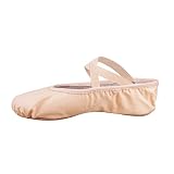 Bezioner Segeltuch-Ballett-Hefter Zufuhr-Tanz-Schuhe für Alle Altersgruppen (Rosa, 40)