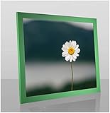 Paola Deluxe Bilderrahmen Posterrahmen 50x150 cm Froschgrün Grün mit weißem Hintergrund und Kunstglas klar