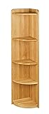 BioKinder Eckregal Standregal Bücherregal Regal Lara aus zertifiziertem Massivholz Erle 160 x 35 cm