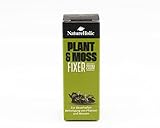 NatureHolic - Moss & Plant Fixer I ideal für Wurzeln und Steine I dunkelgrün und unauffällig I für Moos und Aufsitzerpflanzen I zersetzt Sich Nicht I ​200m