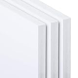 PVC Hartschaumplatte 3-10 mm Kunststoff Platte Weiß Zuschnitt Größe Wählbar (10 mm, 800 x 1200 mm)