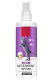 Katzenabwehrspray, Natürlich Effektiv Hundeabwehrspray, Kratzschutz Katze Hund Katzenschreck Anti Katzen Spray für Innen und AuB