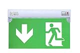 Dauerlicht LED Notleuchte Notbeleuchtung Exit Notausgang Fluchtwegleuchte Notlicht Fluchtweg EXIT IP20 oder IP65 (Dauerlicht IP20)