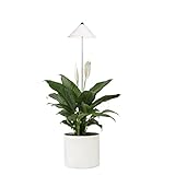Parus by Venso SUNLiTE LED Pflanzenlampe XL 25W Weiß Pflanzenlicht, mit ausziehbarem Teleskopstab, Wachstumslampe für große und kleine Zimmerpflanzen