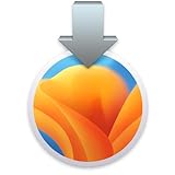 D-S Systems Installation-Bootstick kompatibel mit MacOS 13 Ventura OS X Bootfähiger Bootable USB Type-C für Installation/Update/Downgrade