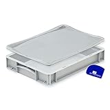 Pizzaballenbox mit Deckel (40 x 30 x 7 cm) Kunststoffbehälter für Pizzateig, Stapelbehälter, Teigwanne, Gärbox, Teigbox (1x Box mit Deckel)