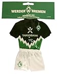 SV Werder Bremen Trikot / Autotrikot Sasion 2010/2011