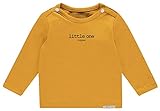 Noppies Unisex Baby U Tee Ls Hester Text T Shirt, Honey Yellow, 68 EU