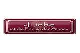 Femer Blechschild Zitat 46x10 cm Liebe ist die Poesie der Sinne S