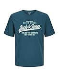 Jack & Jones Jungen Jjelogo Tee O-Neck 2 Col Noos Jnr T-Shirt, Dunkelblau - Grün - Weiß, 176 EU