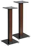 2 x Ständer Standfüße für Boxen Halter Speaker Lautsprecherboxen max. Belastung: je 10 kg, edles Design - aus Alu, Glas und Holzoptik