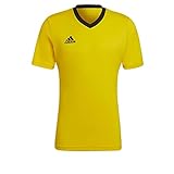 adidas Herren ENTRADA22 Fussball T-Shirt, Team Gelb/Schwarz, XL