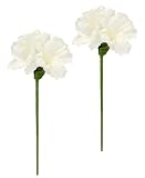 Kunstblumen Amaryllis 60cm 2er Set Seidenblume Blumen künstlich für Adventskränze Girlanden Gestecke Zweig Dekozweig Tischdeko Winterblume Weihnachtsdeko Weihnachtsblume Weihnachtliche Deko, weiß