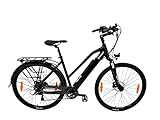 Sun World E-Bike Elektrofahrrad “F9“ 29 Zoll Pedelec E-Fahrrad Elektro Fahrrad Citybike mit integriertem Akku