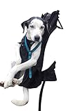 DogCarrier Premium XXL Hunderucksack - Hundetrage Hundetasche Hundebox für Hunde von 15-30kg Gewicht