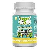 Vitamin B2 Kapseln (Riboflavin) - hochdosiert, natürlich & vegan - 200mg - ohne künstliche Zusatzstoffe - Qualität aus Deutschland - kleine Vitamin B2 Kapseln statt große Tabletten - Vitamineule®