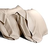 WishSmile Kühlende Kissenbezüge aus Bambus, Standard-Kissenbezüge, 2er-Set, atmungsaktiv, kühl, seidig, weich, feuchtigkeitsableitend, für heiße Schläfer, 2er-Pack, 50.8x66 cm