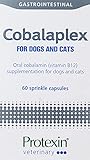 Protexin Cobalaplex 60 Kapseln, Ergänzungsfuttermittel für Hund und Katze, Orales Cobalamin (Vitamin B12) zur Unterstützung des Verdauungstraktes.