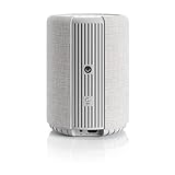 Kabelloser Multiroom Lautsprecher - Tragbarer Speaker - AirPlay 2 - Google Assistant und Cast - Spotify Connect - Bluetooth - Sprachsteuerung - G10 - Dunkelgrau