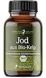 Hochdosierte Jod Kapseln - 180 Kapseln, 6-Monatsvorrat - Natürliches Jod aus Bio-Kelp - 150 mcg Jod pro Kapsel - Für die Normale Schilddrüsenfunktion