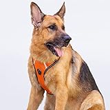 Puwihoe Hundegeschirr, kein Ziehen, reflektierend, mit einfachem Griff und Clips vorne und hinten, verstellbar, atmungsaktiv, weich gepolstert, für Deutscher Schäferhund, Orange, XL