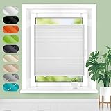 Homland Plissee ohne Bohren Klemmfix B80 x H200 cm Weiß, Plissees für Fenster und Tür, Jalousie Easyfix Plisseerollo mit Klemmträger Sonnenschutz und Sichtschutz lichtdurchlässig R