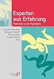 Experten aus Erfahrung: Peerarbeit in der Psychiatrie (Fachwissen)