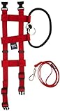 Original Illusion Collar Trainingshalsband & Leine des amerikanischen Hundeflüsterer Cesar Millan, Größe Small, Rot