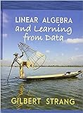 Linear Algebra and Learning from Data (English Edition)