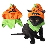2 Stück Hund Halloween Kürbis Hut Katze Lustige Kopfbedeckung mit Ohrloch Verstellbares Katzenkostüm für Katzen Kleine Hunde