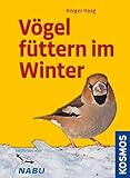 Vögel füttern im Winter