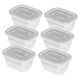 Rotho Freeze 6er-Set Gefrierboxen 0,25l mit Deckel, Kunststoff (PP) BPA-frei, transparent, 6 x 0,25l (11,2 x 7,8 x 13,2 cm)