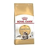 Royal Canin Maine Coon Adult | 2 kg | Trockenfutter für Katzen | Angepasst auf den Bedarf von Maine Coon Katzen | Zur Unterstützung der Gelenke und Knochen